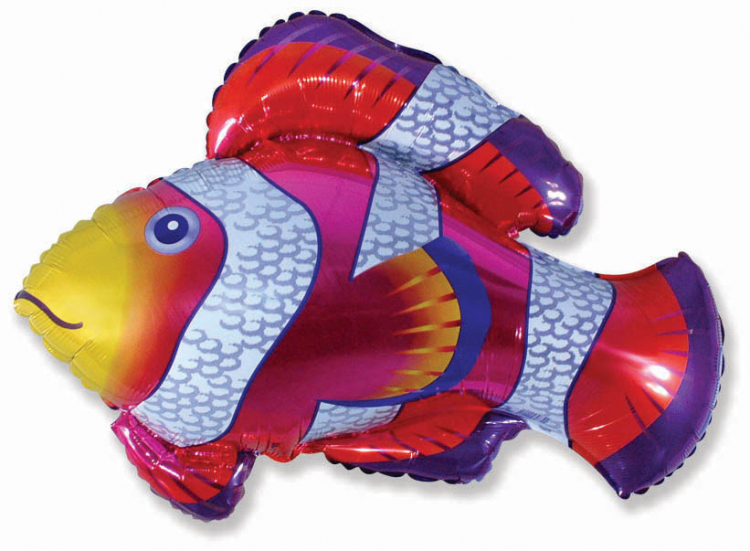Шар Фигура, Клоун-рыбка / Cloun-fish (в упаковке)